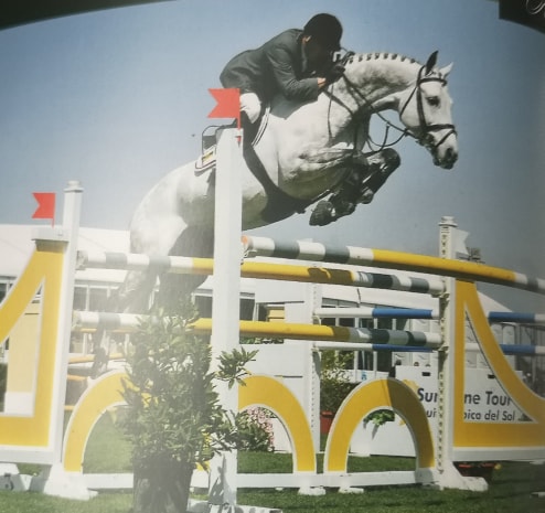 Cornetto King - Showjumping Stallion